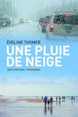 Une pluie de neige