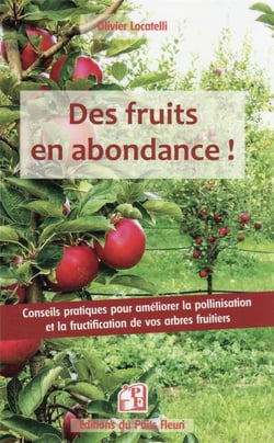 Des fruits en abondance ! conseils pratiques pour améliorer la pollinisation et la fructification de vos arbres fruitiers