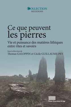 Ce que peuvent les pierresVie et puissance des matières lithiques entre rites et savoirs : Vie et puissance des matières lithiques entre rites et savoirs