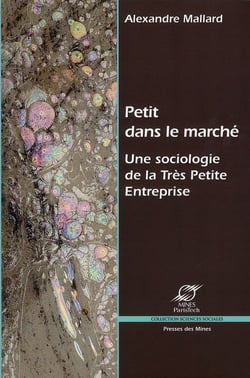 Petit dans le marché - une sociologie de la très petite entreprise