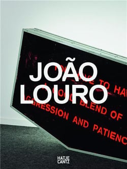 Joao louro i will be your mirror poems and problems (portuguese pavilion at the venice biennale 2015
