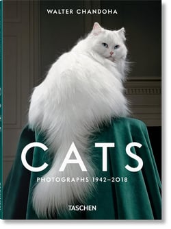 Walter Chandoha : cats : photographs 1942-2018