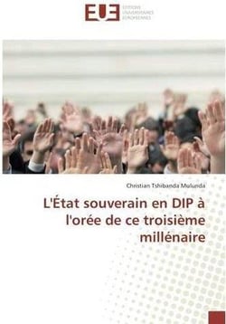 L'etat souverain en dip a l'oree de ce troisieme millenaire