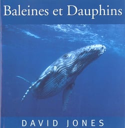 Baleines et dauphins