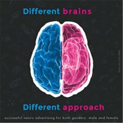 Different brains, different approach