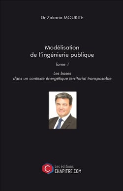 Modélisation de l'ingénierie publique Tome 1