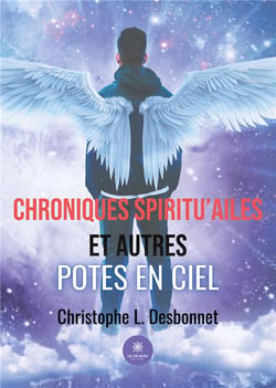Chroniques spiritu'ailes et autres potes en ciel