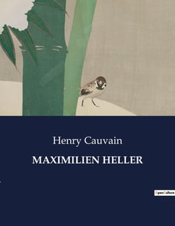 MAXIMILIEN HELLER : Les mystères de Paris dévoilés par un détective hors pair