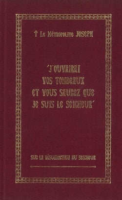 J'ouvrirai vos tombeaux et vous saurez que Je suis le Seigneur : Sur la Résurrection du Seigneur