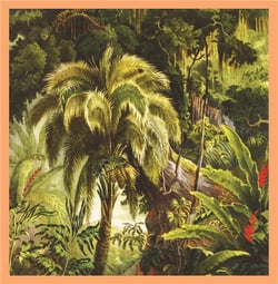 La forêt - édition colorée