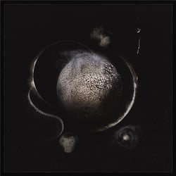 Cold black suns