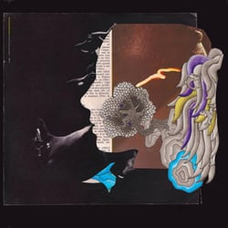 Dirty French Psychedelichs - Selected By Dirty Sound System