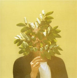 French Kiwi Juice