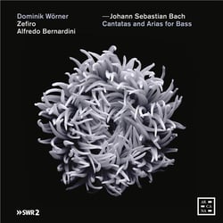 Cantatas and arias for bass