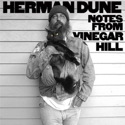 Notes from Vinegar hill