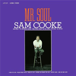 Mr. Soul