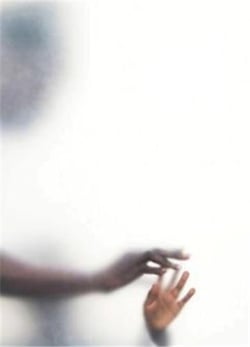 Ann Hamilton : Sense