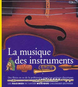 La musique des instruments - des flutes en os de la prehistoire jusqu'aux guitares electriques
