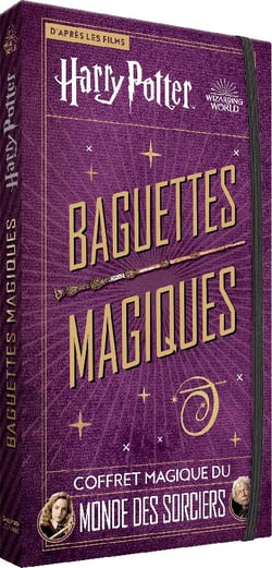 Serre-livres inspirés de Harry Potter, porte-livres de sorciers et de  baguettes, cadeau magique, organisateur de livres de la plate-forme 9,  souvenirs de fans, collection de sorciers -  France