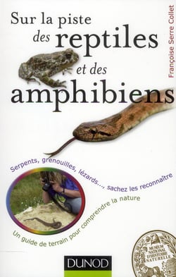 Figurines Reptiles Terra By Battat - 60 Pièces - Grenouilles, Lézards, Crocodiles - Jouet Éducatif 3+