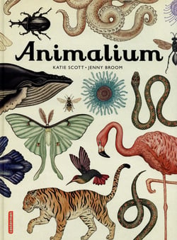Animalium