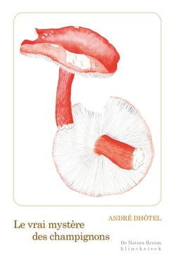 Le vrai mystere des champignons - illustrations, noir et blanc