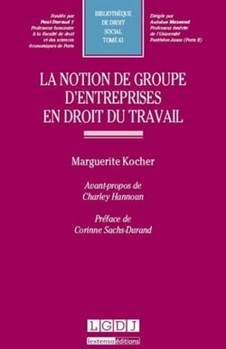 Le notion de groupe d'entreprise en droit du travail