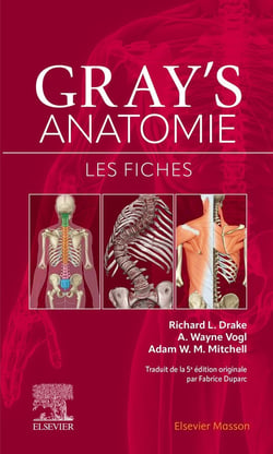 Gray's Anatomie : Les fiches
