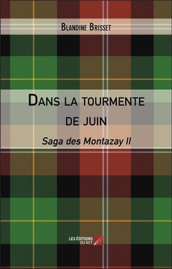 Dans la tourmente de juin : saga des Montazay II