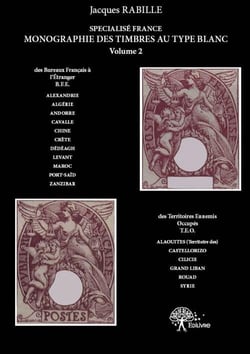 Monographie des timbres au type blanc t.2 - des bureaux français à l'étranger ( b.f.e.) et des territoires ennemis occupés