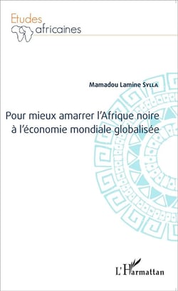Pour mieux amarrer l'afrique noire à l'économie mondiale globalisée