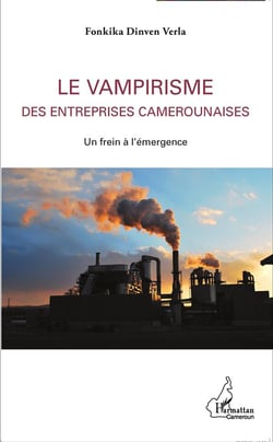 Vampirisme des entreprises camerounaises - un frein à l'émergence