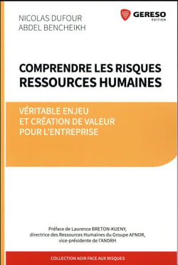 Comprendre Les Risques Ressources Humaines