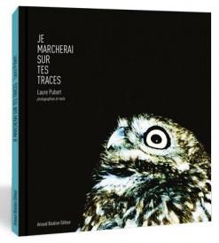 Je marcherai sur tes traces