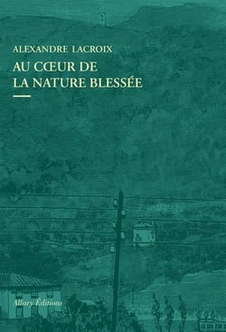 Au coeur de la nature blessée : apprendre à voir les paysages du xxie siècle