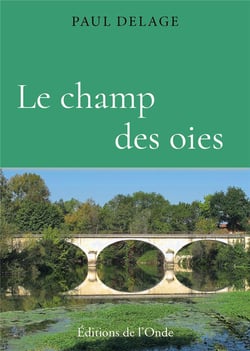 Le champ des oies