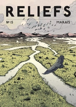 Reliefs n.15 : Marais