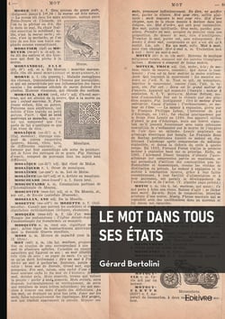 Le mot dans tous ses états