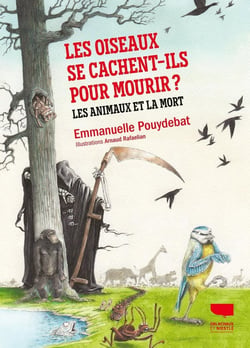 Les oiseaux se cachent-ils pour mourir ? Les animaux et la mort