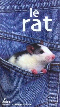 Le rat