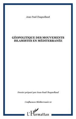 Géopolitique des mouvements islamistes en Méditerranée