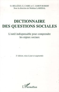 Dictionnaire des questions sociales : L'outil indispensable pour comprendre les enjeux sociaux
