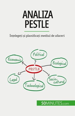 Analiza PESTLE : Întelegeti si planificati mediul de afaceri