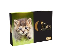 Calendrier Géo - chats en 365 jours