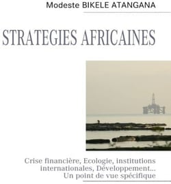 Stratégies africaines : crise financière, écologie, institutions internationales, développement... un point de vue spécifique