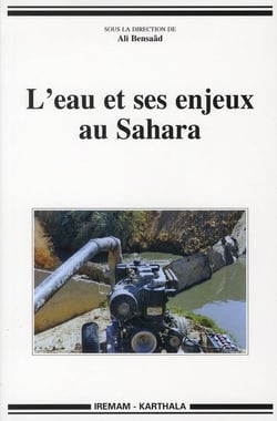 Eau et ses enjeux au Sahara (L')