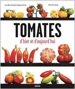 Tomates oubliées d' hier et d'aujourd hui