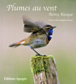 Plumes au vent