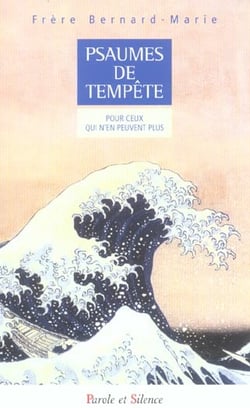 Psaumes de tempête : pour ceux qui n'en peuvent plus