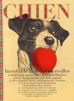 Chien, Incroyable Registre Des Archives, Nouvelles Et Miscellanees
